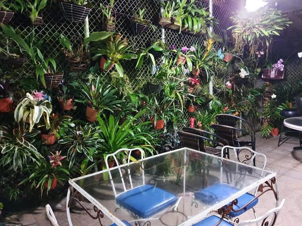 Finca San Antonio in El Valle de Anton Esterno foto